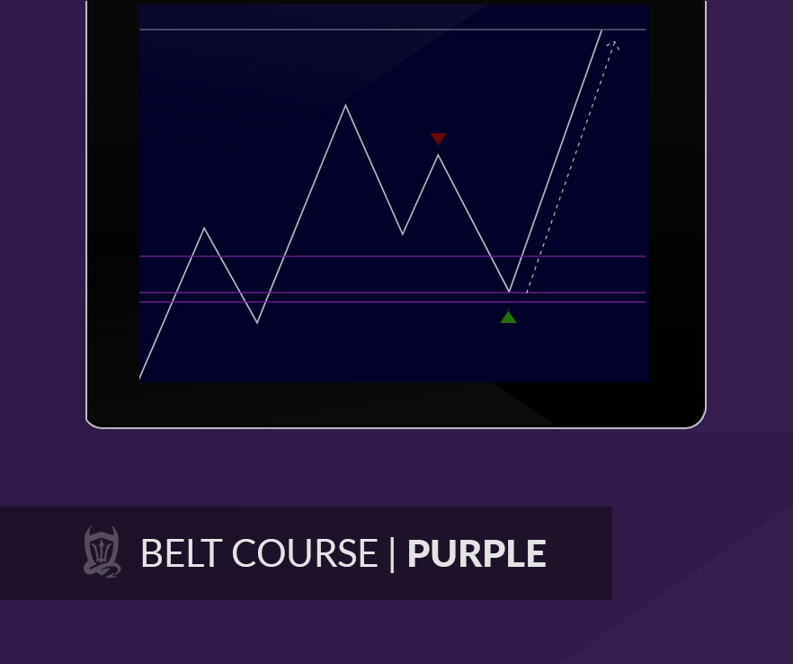 Purple Belt Belt